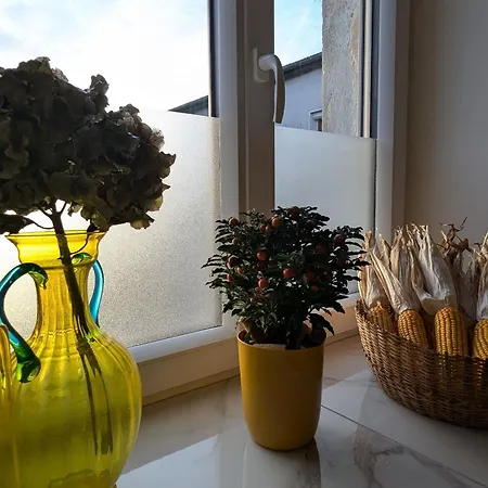 Historique Et Moderne, Capacite Flexible - Fr-1-585-170 Tatil Evi